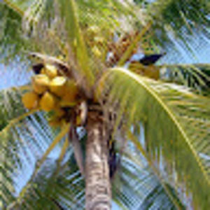 Meet your Posher, Barbara & rob